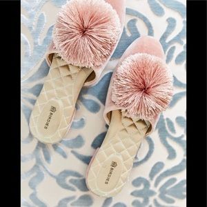 Birdies The Songbird Slides